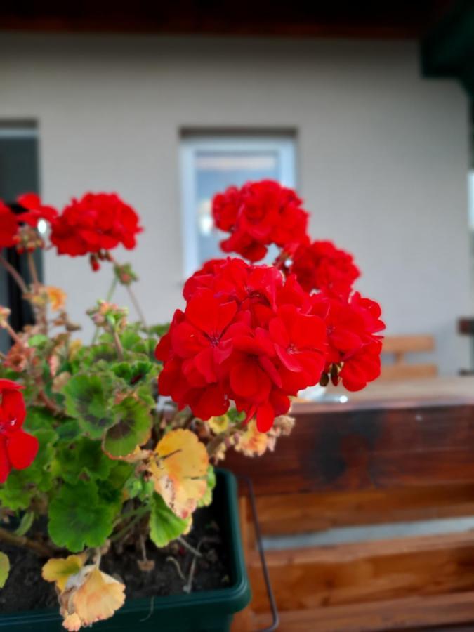 Vacation Home Danilo Žabljak Esterno foto